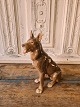 B&G Figur - 
Schæferhund 
No. 1765, 1. 
sortering
Højde 22,5 cm.
Design: 
Lauritz Jensen