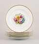 Bing & 
Grøndahl, seks 
middagstallerkner 
i porcelæn 
håndmalet med 
polykrome 
blomster og ...
