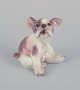 Dahl Jensen. Porcelænsfigur af fransk bulldog.Model: 1098.1930’erne.Perfekt stand.Første ...