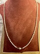 Ægte Perle kæde 
med guld lås i 
14k 
Hvid guld . L 
46 cm 
Flot pæn stand