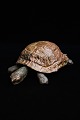 Decorative, old turtle in painted papier-mâché with fine patina...