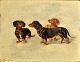 Raufer, G. (19. årh.) Tre gravhunde. Olie på træplade. Signeret. 21 x 28 cm.Indrammet: 44 x 50 ...