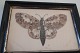 Gammel 
opsætning af 
Sommerfugl i 
original ramme
Lavet af 
sommerfugle-
vinger
Ca. 21,5cm x 
...
