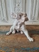 B&G Figur - 
Fransk Bulldog 
No. 2000, 2. 
sortering - 
fremstår med 
slibning på en 
negl - se ...