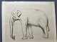 Albert Repholtz 
(1863-1928):
Elefanten 
Chang fra 
Københavns Zoo 
æder hø
Blødgrunds 
radering på ...
