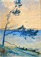 Vogel-Jørgensen, Eva (1901 - 1988) Danmark: Et fyrretræ ...