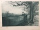 Louis-Emile 
Adan 
(1839-1937):
Efterår
Radering på 
papir.
Sign.. E. Adan
Beskåret til 
pladens ...
