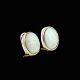 Øreklips i 14k guld med opal.Stemplet 585.1,8 x 1,4 cm.Vægt 7,8 g. Brugt i god stand.  ...