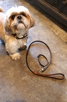 item no: LV hundehalsbånd og snor