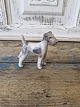 Royal 
Copenhagen 
Figur - Ruhåret 
Terrier 
No. 3170, 2. 
sortering
Højde 8,5 cm.
Design: Th. 
Madsen