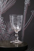 Vin glas