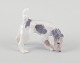 Royal 
Copenhagen, 
porcelænsfigur 
af Ruhåret 
Foxterrier. 
Underglasur.
Modelnummer 
3020. ...