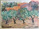 Therese 
Dragshøj 
(1909-98):
Oliventræer, 
Caspena, 
Spanien
Olie på 
lærred.
Uden ramme
Sign.: ...