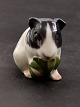 Bing & Grøndahl 
figur, marsvin 
2499 
1.sortering 
emne nr. 615292