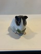 Bing & Grøndahl
figur af 
Marsvin 
no 2499