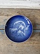 latest 
new item