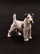 Bing & Grøndahl 
Porcelænsfigur 
Ruhåret 
Foxterrier 1998 
Højde 14 cm. 
2.sortering 
emne nr. 616937