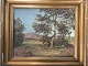 Harald Pryn 
(1891-1968):
Træer i bakket 
landskab.
Olie på 
lærred.
Sign.: Harald 
Pryn
30x40 ...