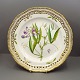 Royal Copenhagen, Flora Danica; Middagstallerken #3553