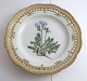 Royal 
Copenhagen. 
Flora Danica 
tallerken med 
gennemskåret 
bort. Diameter 
25 cm. Model 
3553. ( 1 ...