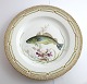 Royal Copenhagen. Fauna Danica. Fish Plate. Dinner plate. Model # 19 - 3549. Diameter 25 cm. (1 ...