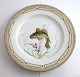Royal Copenhagen. Fauna Danica. Fish Plate. Dinner plate. Model # 19 - 3549. Diameter 25 cm. (1 ...