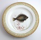 Royal 
Copenhagen. 
Fauna Danica. 
Fish Plate. 
Dinner plate. 
Model # 19 - 
3549. Diameter 
25 cm. (1 ...