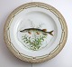 Royal 
Copenhagen. 
Fauna Danica. 
Fisketallerken. 
Middags 
tallerken. 
Model # 19 - 
3549. Diameter 
...
