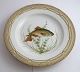 Royal Copenhagen. Fauna Danica. Fisketallerken. Middags tallerken. Model # 19 - 3549. Diameter ...