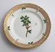Royal 
Copenhagen, 
Flora Danica. 
Cake plate. 
Design # 3552. 
Diameter 14,5 
cm. (1 
quality). ...