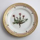 Royal 
Copenhagen, 
Flora Danica. 
Kage tallerken. 
Design #3552. 
Diameter 14,5 
cm. (1 
sortering). ...