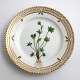 Royal 
Copenhagen, 
Flora Danica. 
Kage tallerken. 
Design #3552. 
Diameter 14,5 
cm. (1 
sortering). ...
