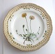 Royal Copenhagen. Flora Danica plate w. open-work border. Diameter 25 cm. Model 3553. (1 ...