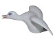 Royal Copenhagen bird figurine, white flying duck.Decoration number 7/2215.Factory ...