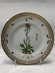 Flora Danica
Cake plate 17 cm. #617
"Erigeron uniflorus L.".