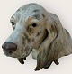 Stor Lladro figur, Spanien, Buste af hunde hoved / Engelsk Setter, Mål ca. 30x18x18cm lang *Fin ...