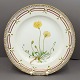 Royal Copenhagen, Flora Danica; Middagstallerken 25,5 cm ...