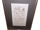 Hans Bellmer (1902-1975), original radering i ramme bag glas.Erotisk anatomistudie fra ...