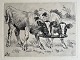 Johannes Resen-Steenstrup (1868-1921):To kalve 1903.Radering på papir.Sign.: JRS ...