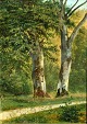 Schovelin, Axel (1827 - 1893) Danmark: Træer i en skov. Olie på lærred/opklæbet på pap. ...