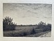 Adolph Larsen (1856-1942):Sommeraften ved Rødovre 1899..Radering på papir.Signeret med bly ...