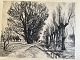 Torben Galle Jensen (1901-70):Tidlig Forår, Piletræer 1929Radering på papirLidt falmet ...
