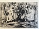 Andreas Friis (1890-1983):TræerRadering på papir.Sign.: Andreas Friis (bly)Nr. ...