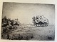 Kai Vilhelm de Fine-Licht (1900-86):Trægruppe ved Rørvig 1933.Radering på papir.Sign.: KV ...