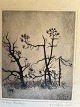 Kai Vilhelm de Fine-Licht (1900-86):Fra Hals Plantage 1928.Radering på papir.Sign.: KV de ...