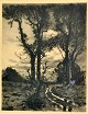 Niss, Thorvald (1842 - 1905) Danmark: Efterår, 1899. Radering. Signeret TN 99. H: 23,5 cm. B: ...