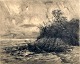 Niss, Thorvald (1842 - 1905) Danmark: Uvejr ved Esrum Sø, 1896. Radering. Signeret: Thorv Niss ...