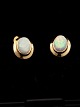 14 karat guld ørestikker D. 1 x 0,8 cm. med opal emne nr. 640279