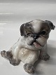 Dahl Jensen, Figur Pekingeser hvalp.Dekorationsnummer 1134.1. sortering.Højde 7,5 ...