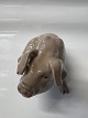 Bing og Grøndahl, Figur Siddende gris.Dek. Nr. 1582. ...
